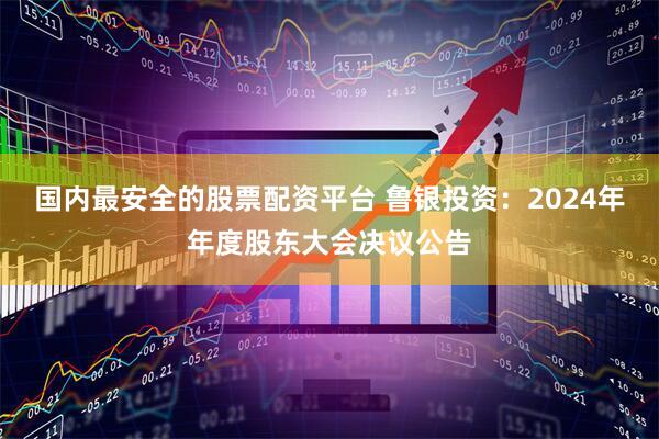 国内最安全的股票配资平台 鲁银投资：2024年年度股东大会决议公告