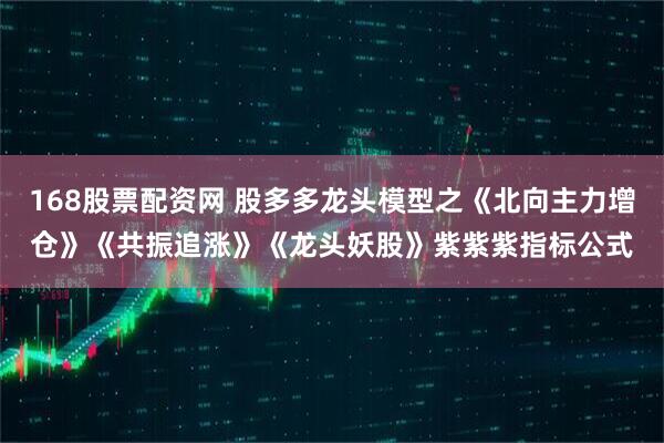 168股票配资网 股多多龙头模型之《北向主力增仓》《共振追涨》《龙头妖股》紫紫紫指标公式