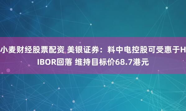 小麦财经股票配资 美银证券：料中电控股可受惠于HIBOR回落 维持目标价68.7港元