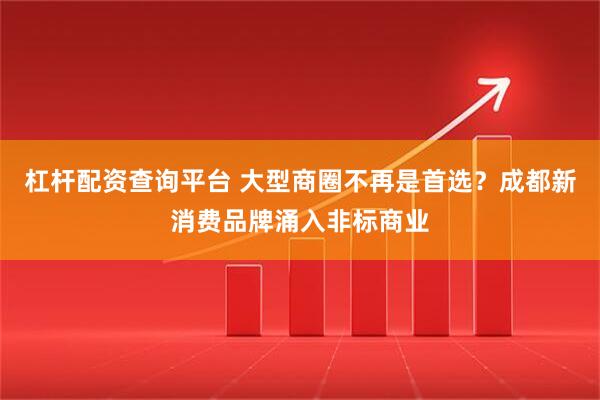 杠杆配资查询平台 大型商圈不再是首选？成都新消费品牌涌入非标商业